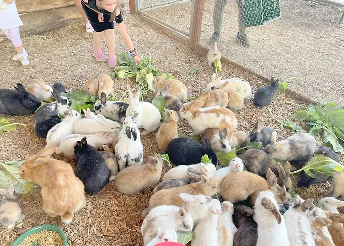 Dom wakacyjny Chalupa Liptovsky Mikulas